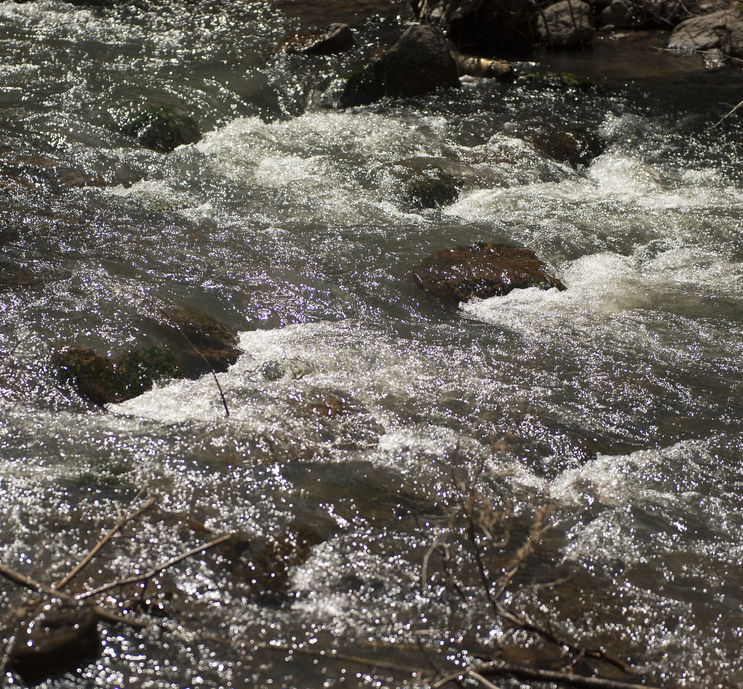 Rock Creek and its many uses